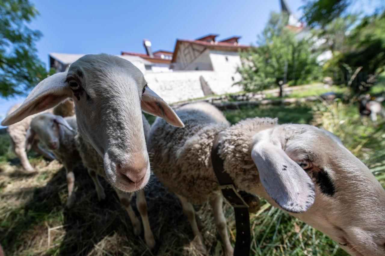 Meznarija Radovljica Leilighet Eksteriør bilde